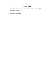 Migrena ir jos poveikis organizmui 13 puslapis