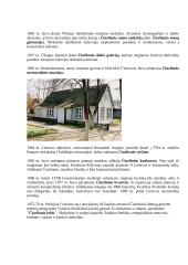 Mikalojus Konstantinas Čiurlionis bei jo simfoninės poemos 9 puslapis