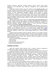 Miokardo infarktas 2 puslapis