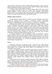 Miokardo infarktas 17 puslapis