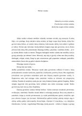 Mirties vaizdas 2 puslapis