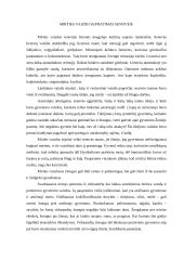 Mirties vaizdas 4 puslapis