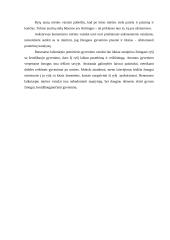 Mirties vaizdas 5 puslapis