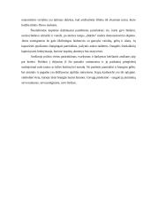 Mirties vaizdas 9 puslapis