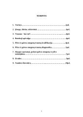 Mišri trauma: galvos smegenų ir pilvo organų sužalojimo derinys, pacientų slaugos ypatumai 2 puslapis