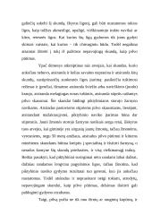 Mitybos ligos 7 puslapis