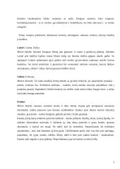 Mitinės lietuvių sakmių būtybės bei jų klasifikavimas 3 puslapis