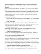 Mokyklos tobulinimas ir efektyvumas 3 puslapis