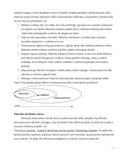 Mokyklos tobulinimas ir efektyvumas 5 puslapis