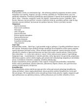 Mokomoji slaugymo istorija 6 puslapis