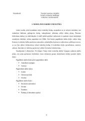 Mokslinis darbas 6 puslapis