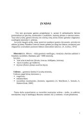 Molis Lietuvoje 2 puslapis