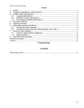 MS Excel bendra apžvalga 12 puslapis