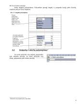 MS Excel bendra apžvalga 4 puslapis