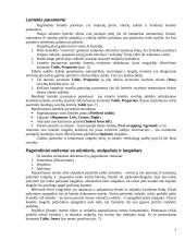 MS Word. Lentelių sudarymas ir redagavimas 4 puslapis