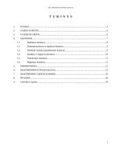 Multimedijos sistemos įrenginiai 2 puslapis