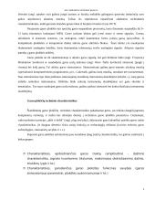 Multimedijos sistemos įrenginiai 5 puslapis