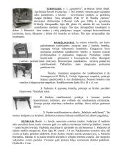 Namų apyvokos daiktai 3 puslapis