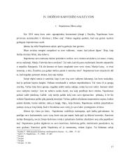 Napoleonas – žmogus 17 puslapis