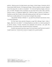 Napoleonas – žmogus 7 puslapis