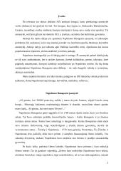 Napoleonas Bonapartas: didžiojo karvedžio jaunystė ir paskutiniai gyvenimo metai 2 puslapis