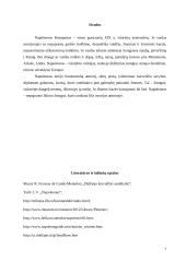 Napoleonas Bonapartas: didžiojo karvedžio jaunystė ir paskutiniai gyvenimo metai 7 puslapis