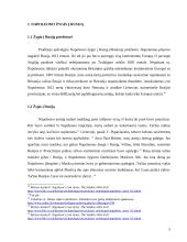 Napoleono masinės karių kapavietės tyrinėjimai 5 puslapis