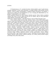 Narvos kultūra: pastatai, keramika, medžioklės ir žvejybos įrankiai 2 puslapis