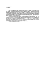 Narvos kultūra: pastatai, keramika, medžioklės ir žvejybos įrankiai 3 puslapis