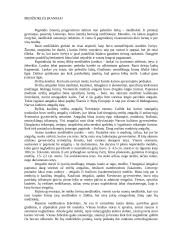 Narvos kultūra: pastatai, keramika, medžioklės ir žvejybos įrankiai 5 puslapis