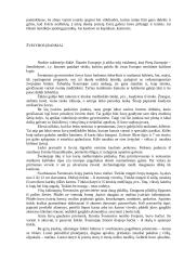 Narvos kultūra: pastatai, keramika, medžioklės ir žvejybos įrankiai 6 puslapis