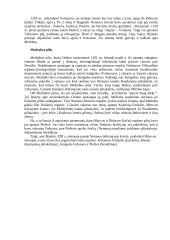 Nemuno gynybinė sistema. Nemuno gynybinės sistemos reikšmė XIII - XIV amžiuje 11 puslapis