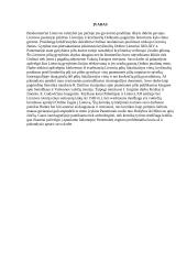 Nemuno gynybinė sistema. Nemuno gynybinės sistemos reikšmė XIII - XIV amžiuje 15 puslapis