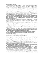 Nemuno gynybinė sistema. Nemuno gynybinės sistemos reikšmė XIII - XIV amžiuje 5 puslapis