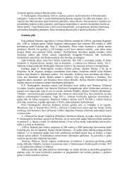 Nemuno gynybinė sistema. Nemuno gynybinės sistemos reikšmė XIII - XIV amžiuje 10 puslapis