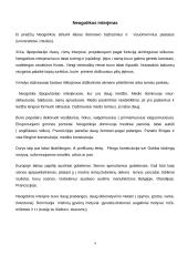 Neogotikos stilius 4 puslapis