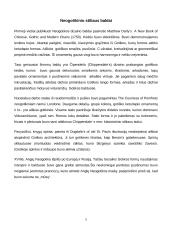 Neogotikos stilius 5 puslapis