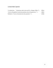 Nepriklausomos Lietuvos konstitucijos 1918 – 1940 m. 14 puslapis