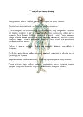 Nervų sistemos ligos 2 puslapis