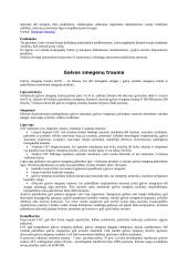 Nervų sistemos ligos 4 puslapis