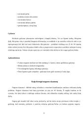 Nesveikas stuburas - nesveikas žmogus 11 puslapis