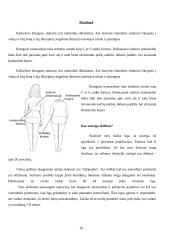 Nesveikas stuburas - nesveikas žmogus 10 puslapis