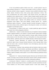 Netradicinės laisvalaikio organizavimo formos 11 puslapis