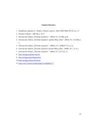 Netradicinės laisvalaikio organizavimo formos 14 puslapis