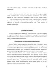 Netradicinės laisvalaikio organizavimo formos 6 puslapis