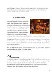 Netradicinės laisvalaikio organizavimo formos 8 puslapis