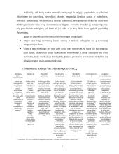 Neturinčiųjų pagrindinio ar vidurinio išsilavinimo integracija į socioekonominį pasaulį per mokymąsi 5 puslapis