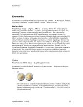 Nyderlandai 11 puslapis