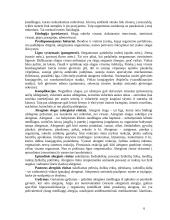 Nosies lygų gydymas lazeriu 6 puslapis