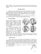 Nosies lygų gydymas lazeriu 8 puslapis